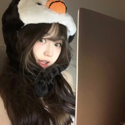 翼龙